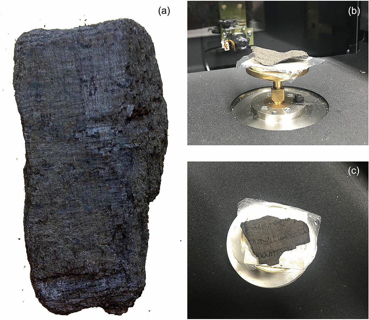 Herculaneum Parşömenleri Okunmaya Başlandı