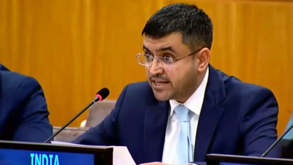Hindistan, BM Raportörünün 'Hindistan merkezli' D-Şirketi Etiketini Reddetti