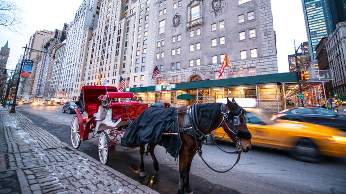 Hindistanlı genç New York'taki ilk gezisinde fayton kazasında hayatını kaybetti