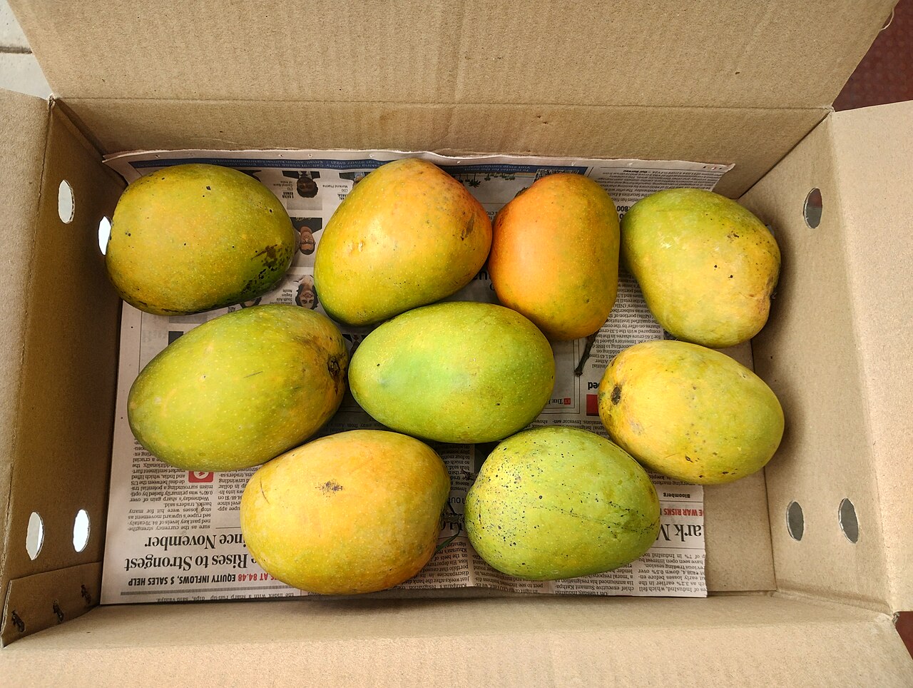Hint Tarım İhracatına Küresel Tepki: Mango, Pirinç ve Baharatlarda Alarm