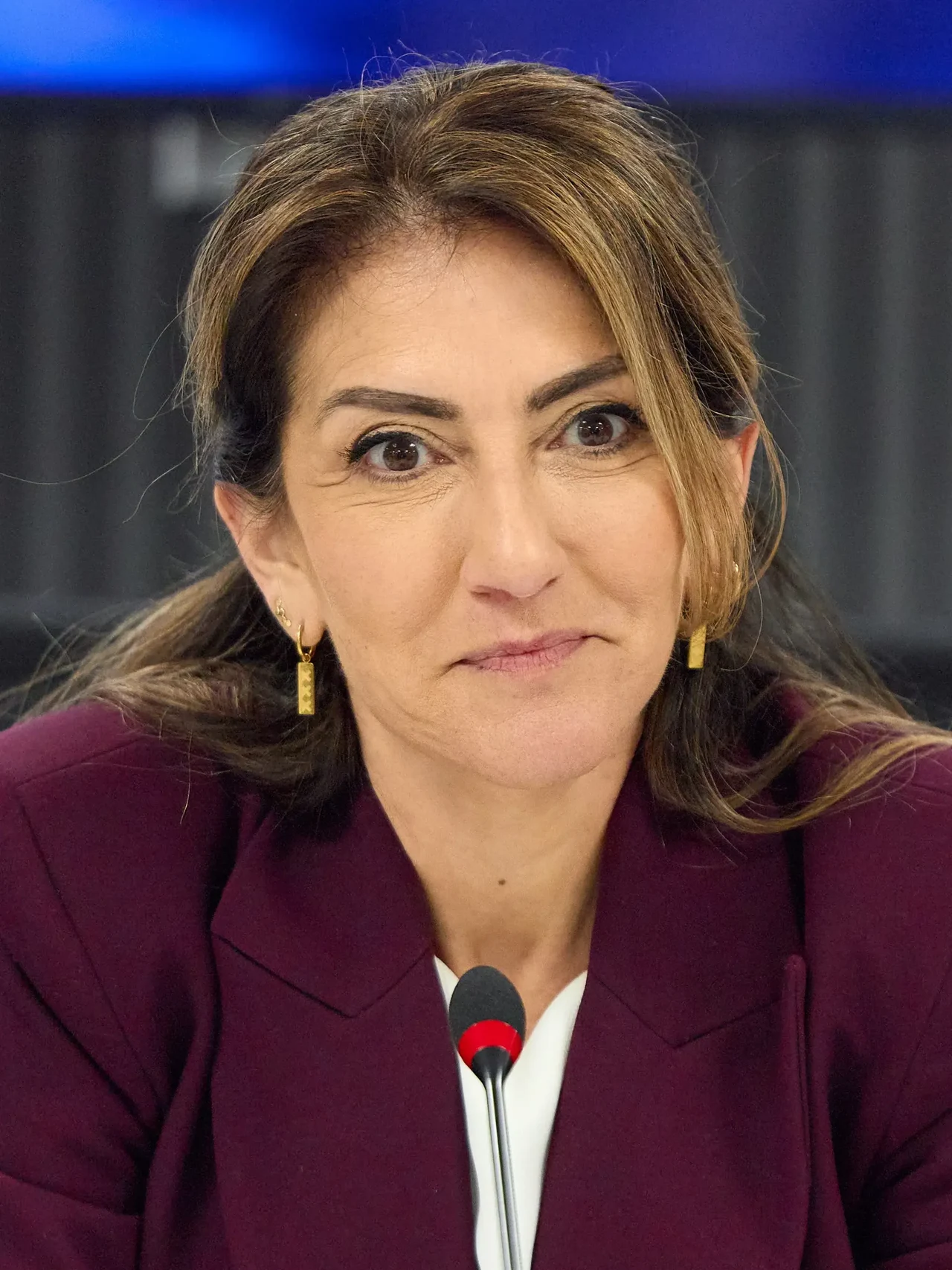 Hollanda Savunma Bakanı: Rusya'ya yönelik yaptırımlar sürdürülmeli