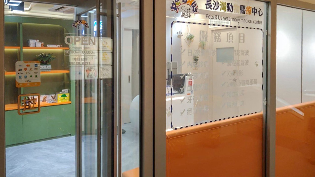 Hong Kong'da 14 yaşındaki çocuk, yaralı kedinin ölümü sonrası hayvan zulmüyle tutuklandı