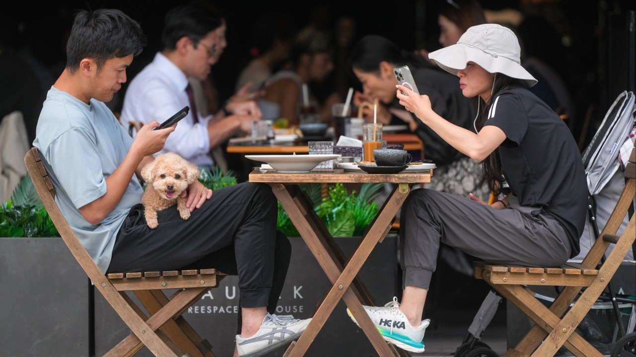 Hong Kong'da köpek dostu restoranlara 20 dava: izinsiz köpek kabulüne sıkı denetim