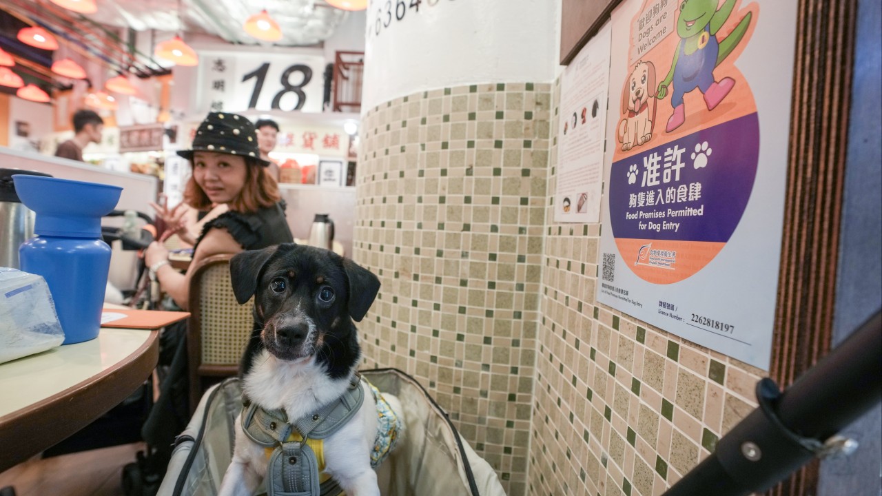 Hong Kong'da Köpek Dostu Restoran Uygulamasında 31 İşletme Çekildi, 70 Uyarı Verildi