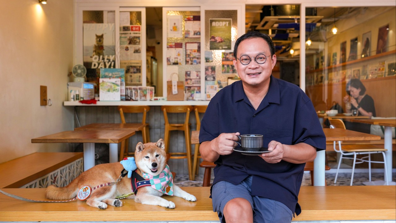 Hong Kong'da köpek dostu restoranlar bir ayda nasıl bir ilerleme kaydetti