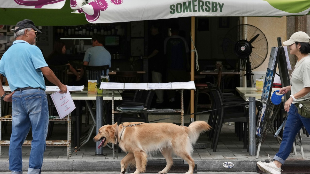 Hong Kong'da köpek saldırıları sonrası genetik test talebi arttı