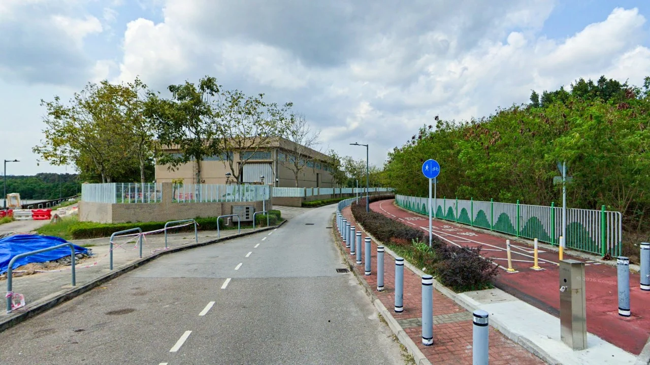 Hong Kong'da Köpek Saldırısı Şüphesi: Kadın Hayatını Kaybetti