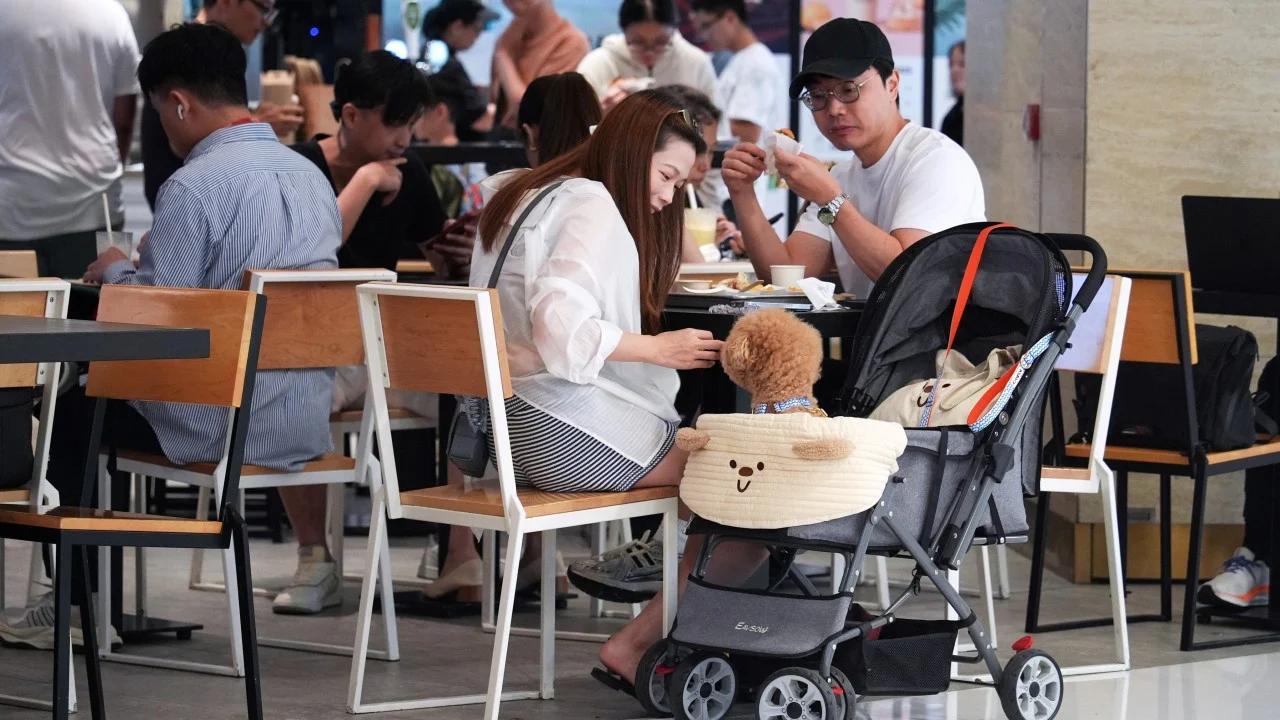 Hong Kong'da köpekli restoran lisansı için 1000 işletme seçildi