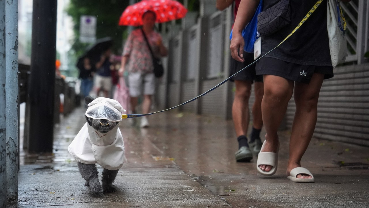 Hong Kong'da önümüzdeki günlerde sağanak ve gök gürültülü fırtına uyarısı