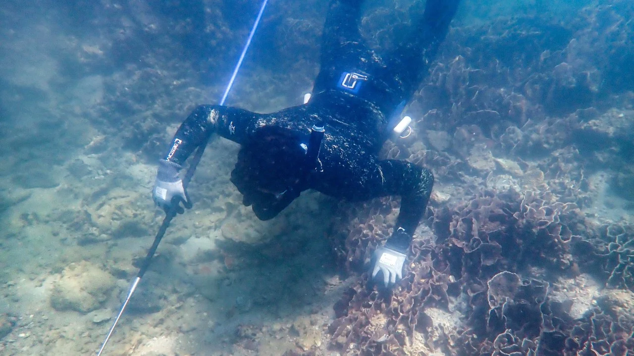 Hong Kong, Sai Kung’da Mercan Resiflerini Koruyacak Deniz Parkı Planlıyor
