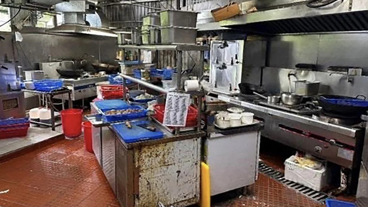 Hong Kong'da Şantiyelerde Yemek Tekeli Kuran Triad Çetesine Operasyon: 125 Gözaltı