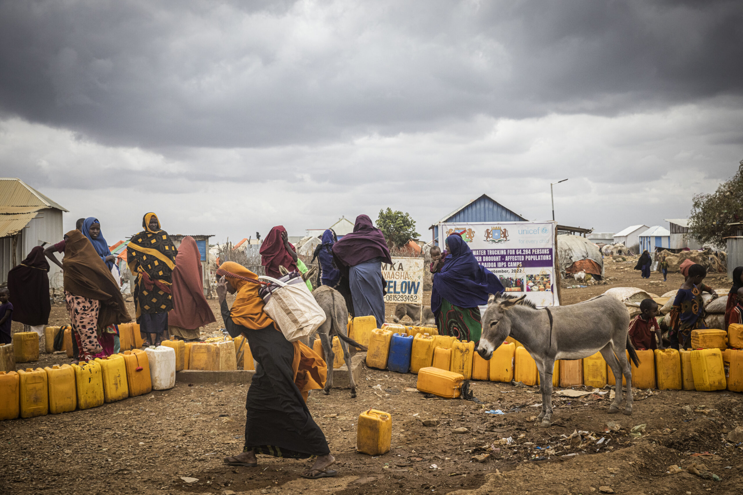 İklim adaptasyonu Afrika'da kaynak çatışmalarını azaltıyor