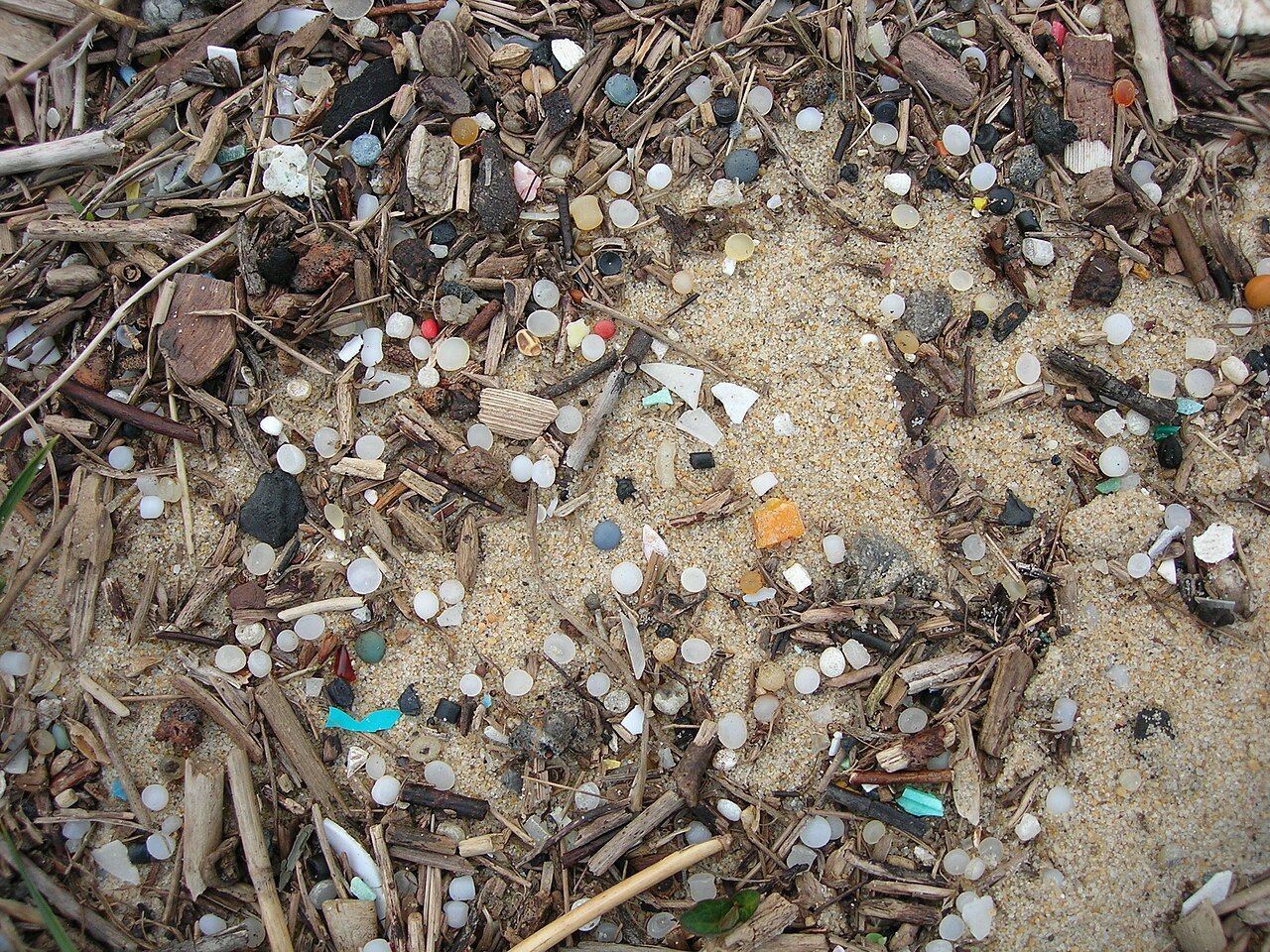 İngiltere'de Plastik Pelet Kirliliğine Karşı Büyük Seferberlik