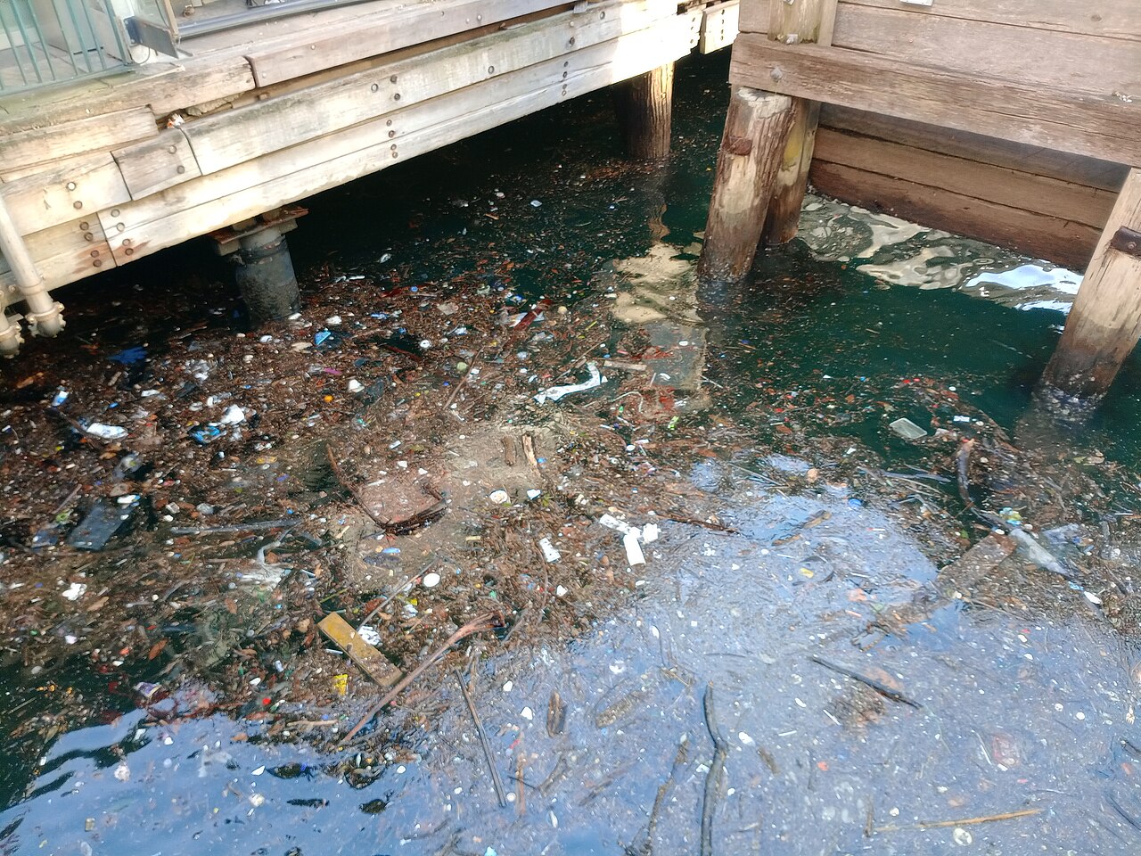 İngiltere'deki Tüm Su Kaynakları Zehirli Kimyasallarla Kirlenmiş
