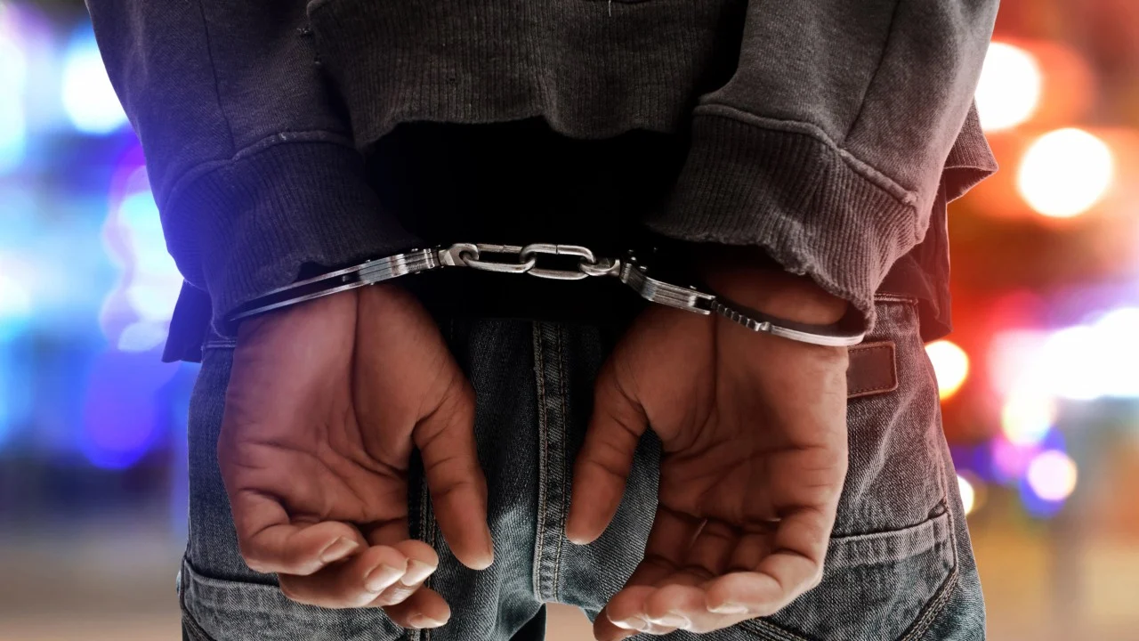 İngiltere'de timsah havuzuna düşen çocuk: Şüpheli yakalandı