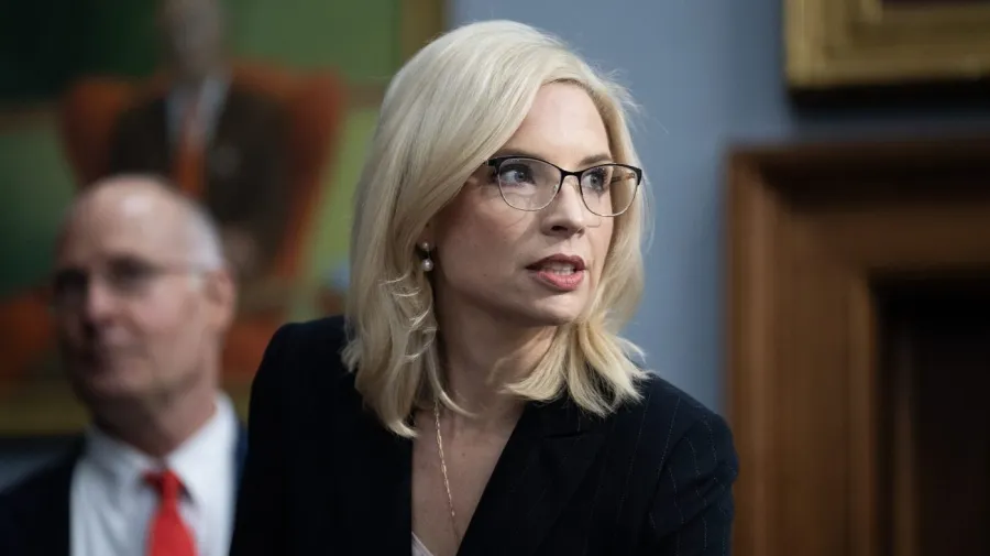 Mağlup Cumhuriyetçi, Iowa Senato Yarışında Hinson'a Karşı Oy Çağrısı Yaptı
