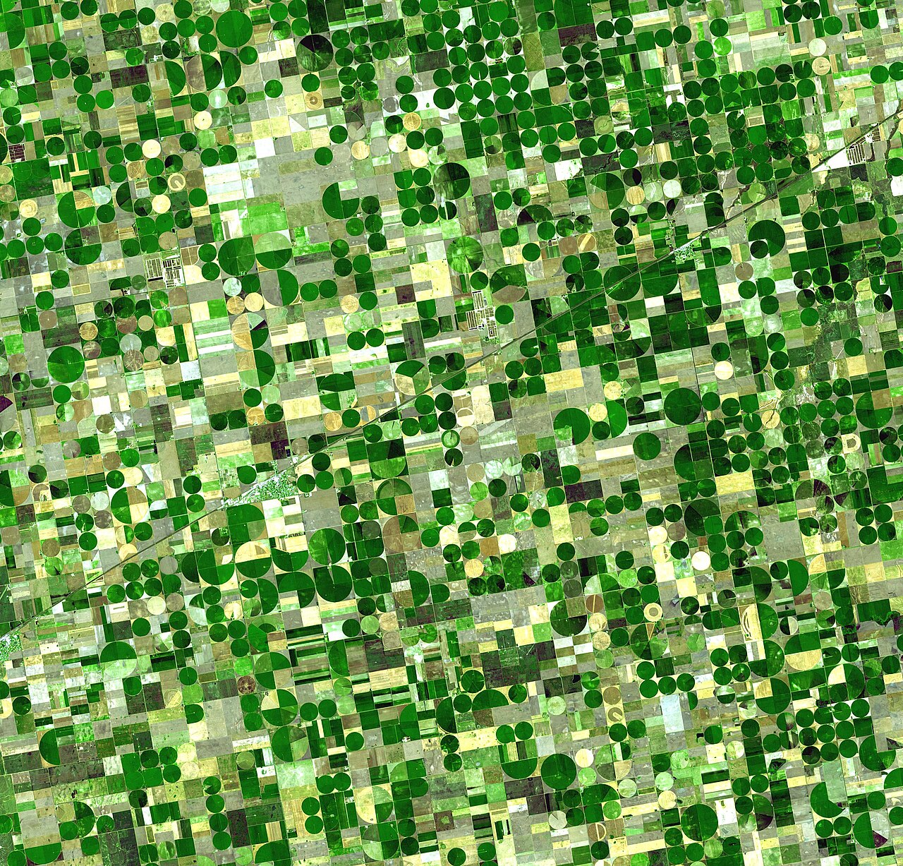 Iowa'da su krizi çiftçileri düzenleme masasına getirdi