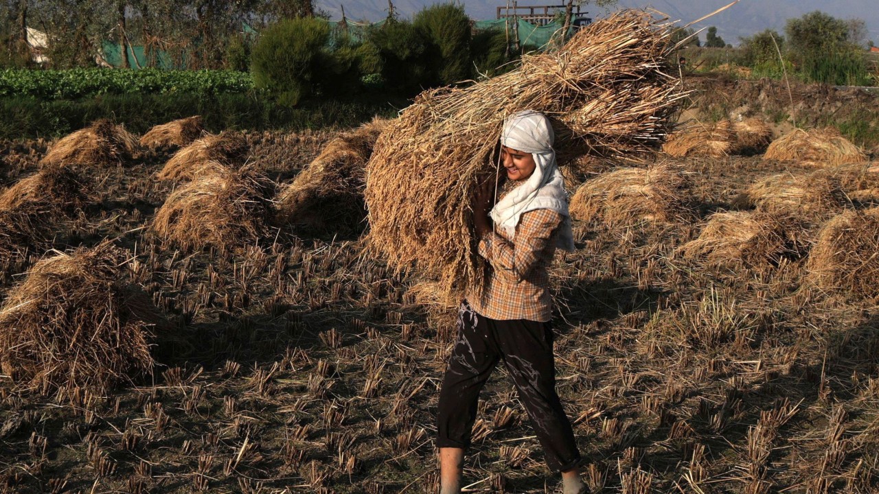 İran Savaşı ve El Nino Asya'da Gıda Krizini Derinleştiriyor