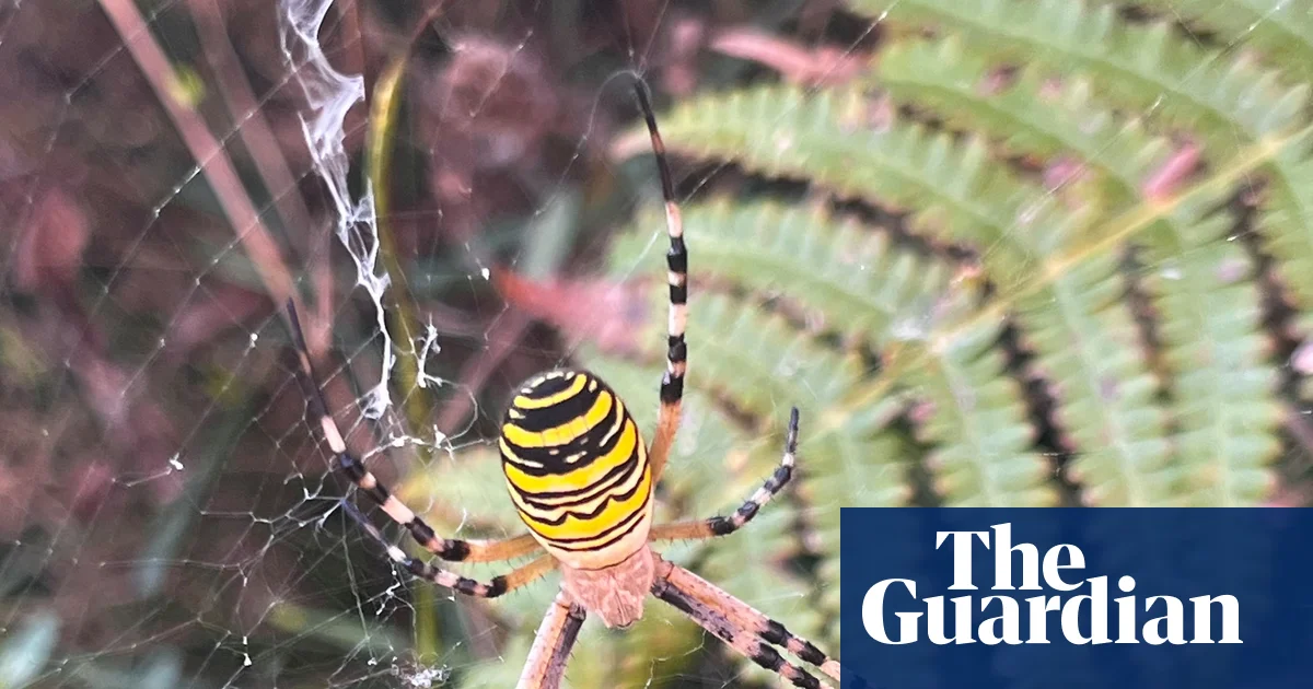 İspanya'da 8 Yılda Yaratılan Ekolojik Cennet: Rewilding Örneği
