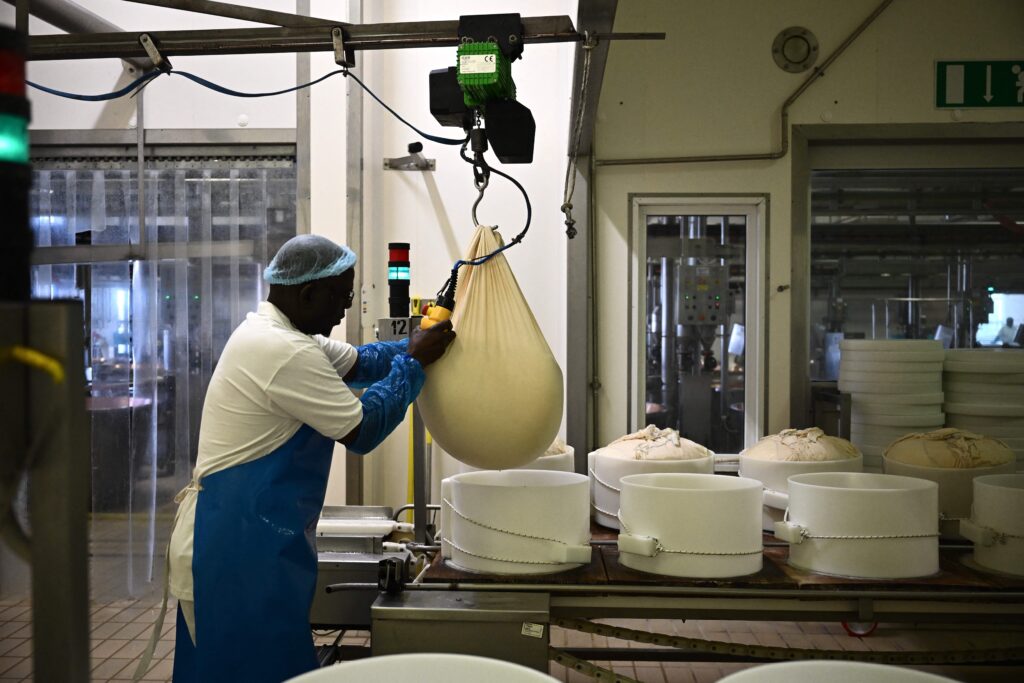 İtalya'yı kavuran sıcaklar Parmesan üreticilerini zorluyor