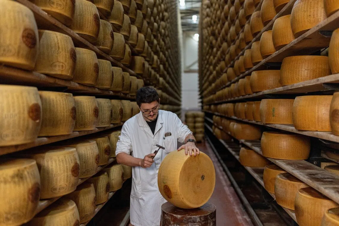 İtalya'nın Parmesan Kalbi Aşırı Sıcaklarla Tehdit Altında