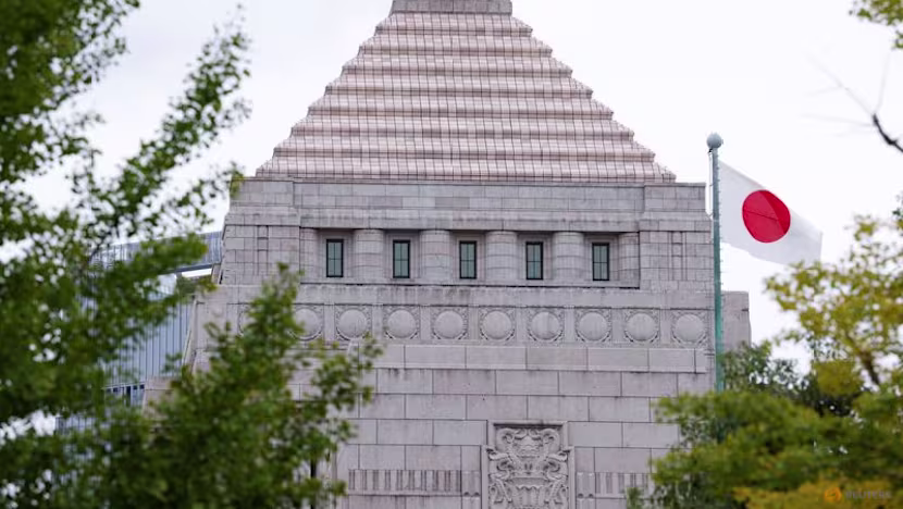 Japonya'da aktivist yatırımcı ve özel sermaye işbirliği endişesi