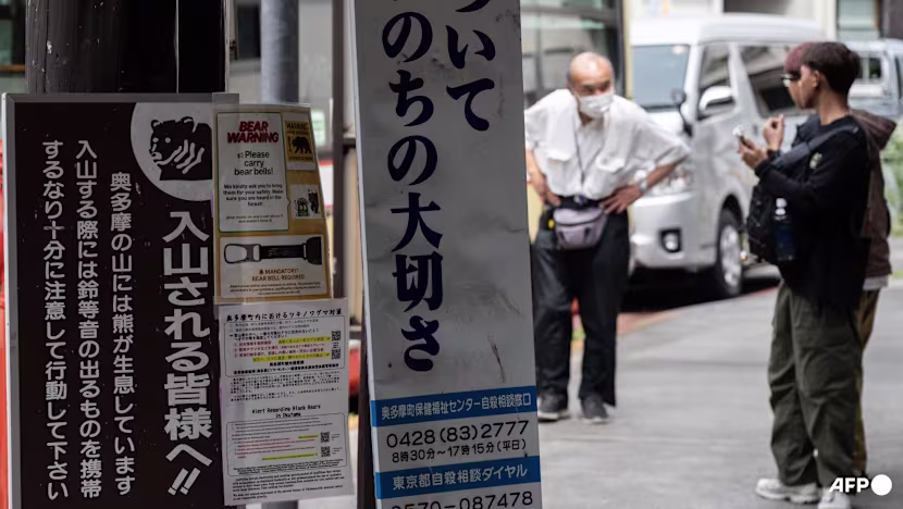 Japonya'da Ayı Saldırısı: Bir Kişi Hayatını Kaybetti