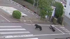 Japonya'da çelik fabrikasında ayı saldırısı: 4 yaralı