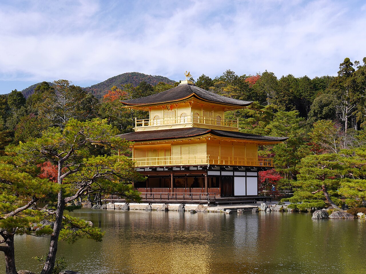 Japonya'nın En Yenilikçi 6 Evi: Sıra Dışı Mimari