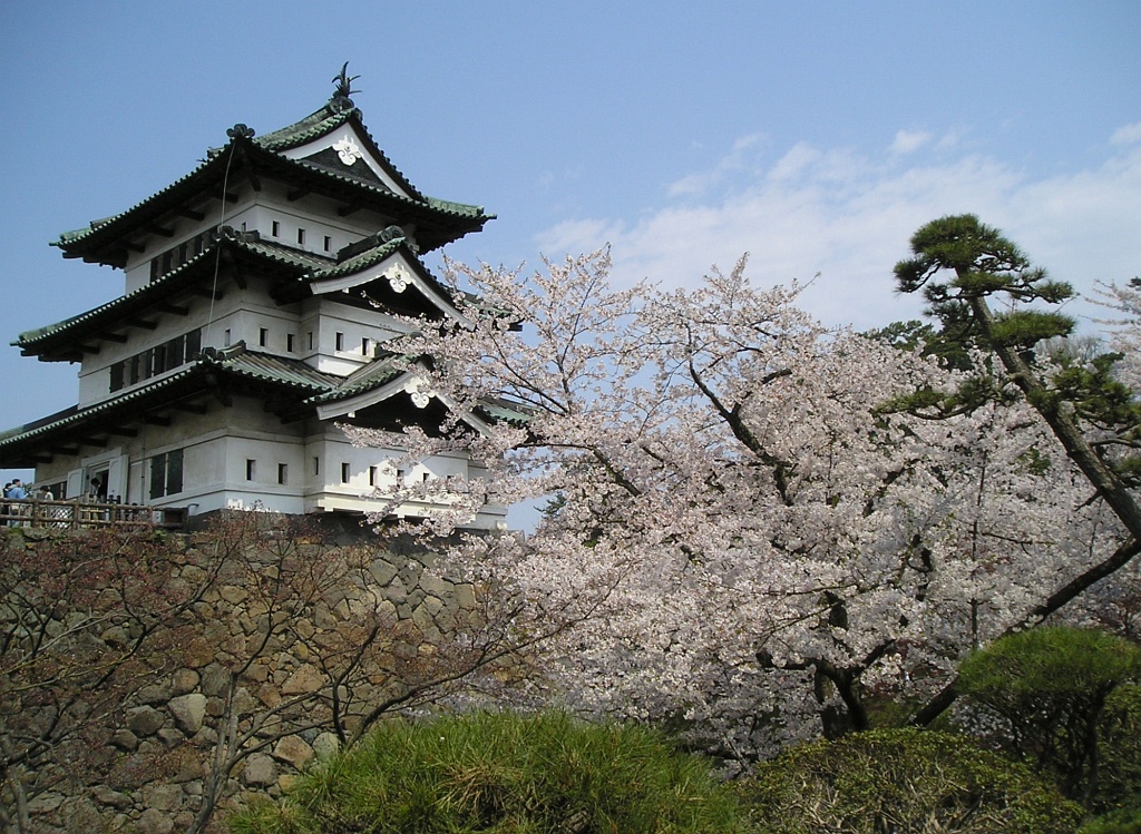 Japonya'da 4 Bin Kişi Hirosaki Kalesi'ni Elle Taşımayı Denedi