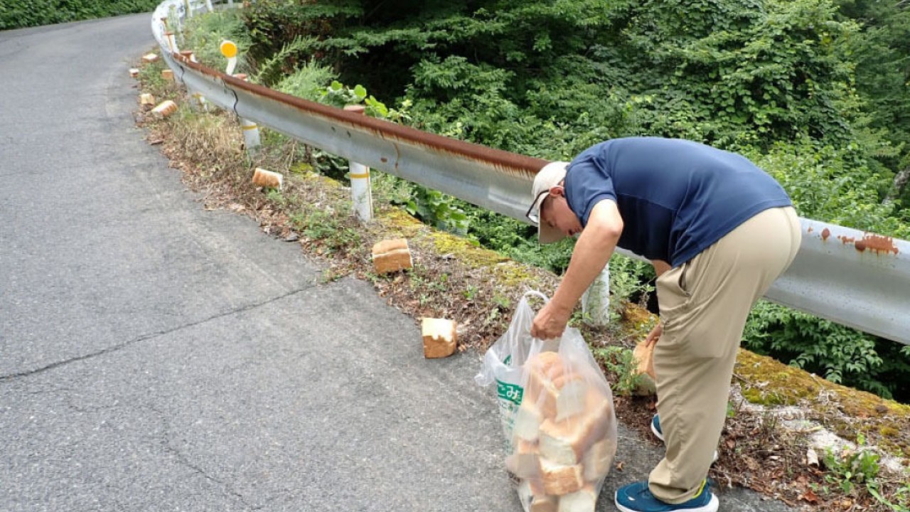 Japonya'da milli parka 39 kg ekmek bırakan kişi aranıyor