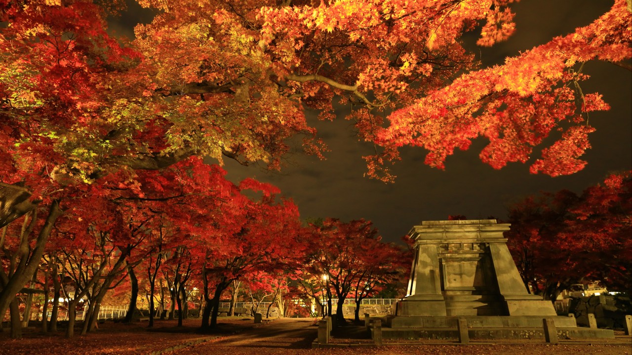Japonya'nın turizm cenneti Tohoku neden hâlâ gözden kaçıyor