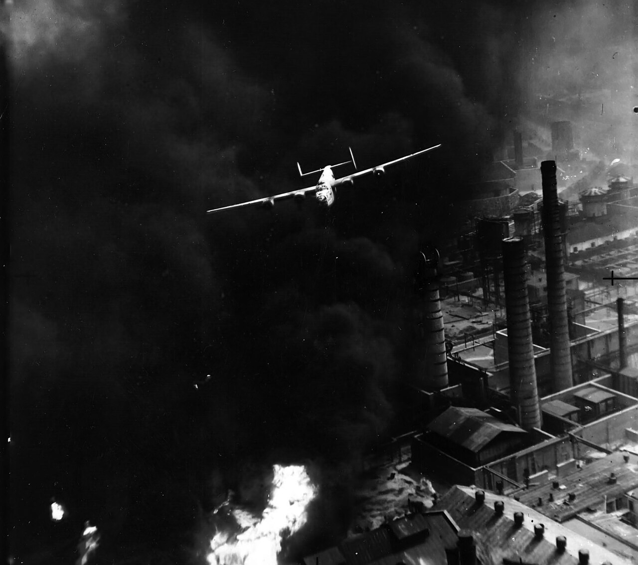 Japonya'da Ayı Görülmesi Üzerine 94 Okul Kapatıldı