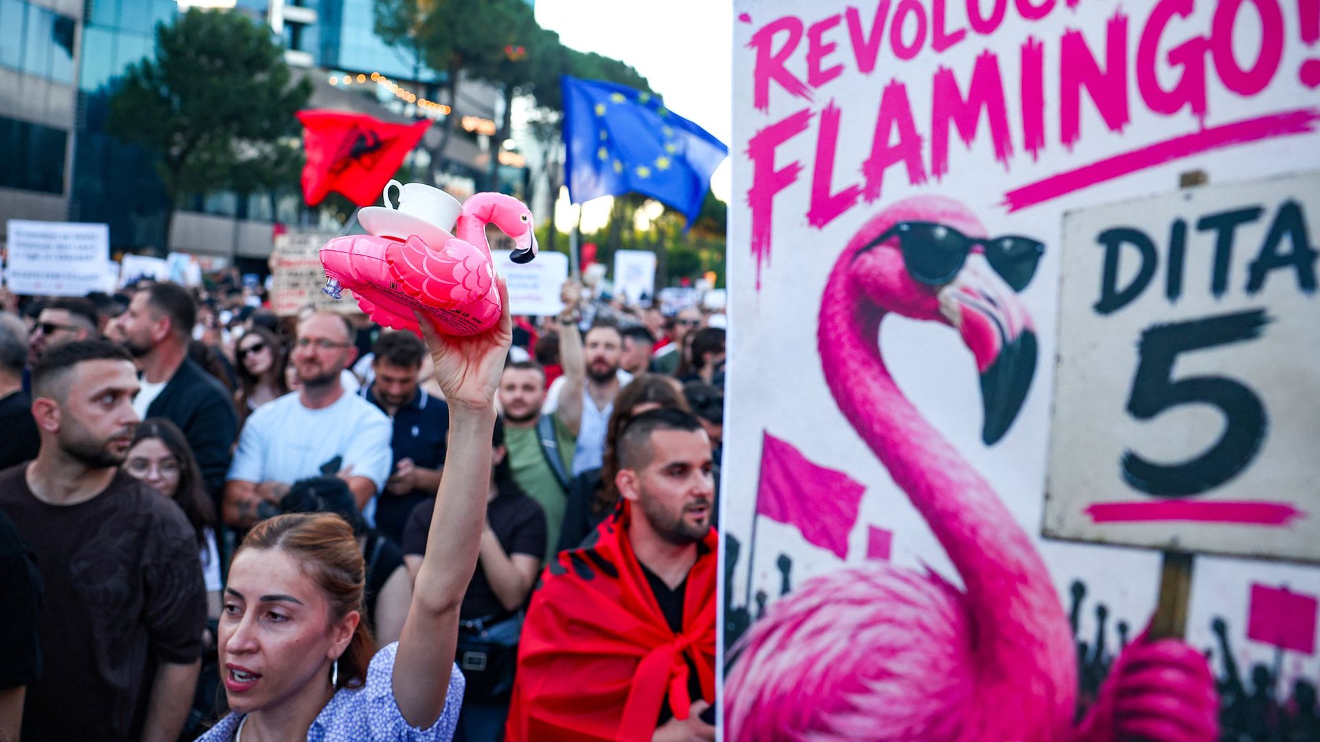 Jared Kushner ve Flamingolar: Arnavutluk'ta lüks tatil köyü protestoları
