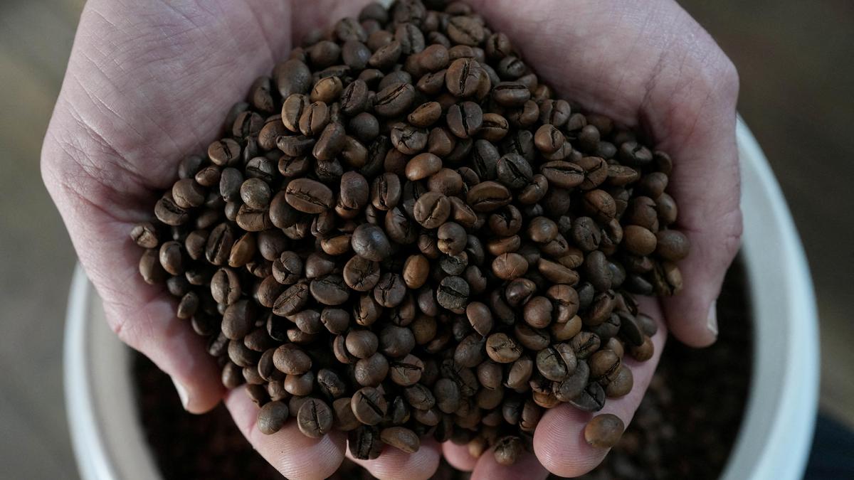 Kahve Kültürü Testi: Uluslararası Kahve Günü'nde 10 Soru