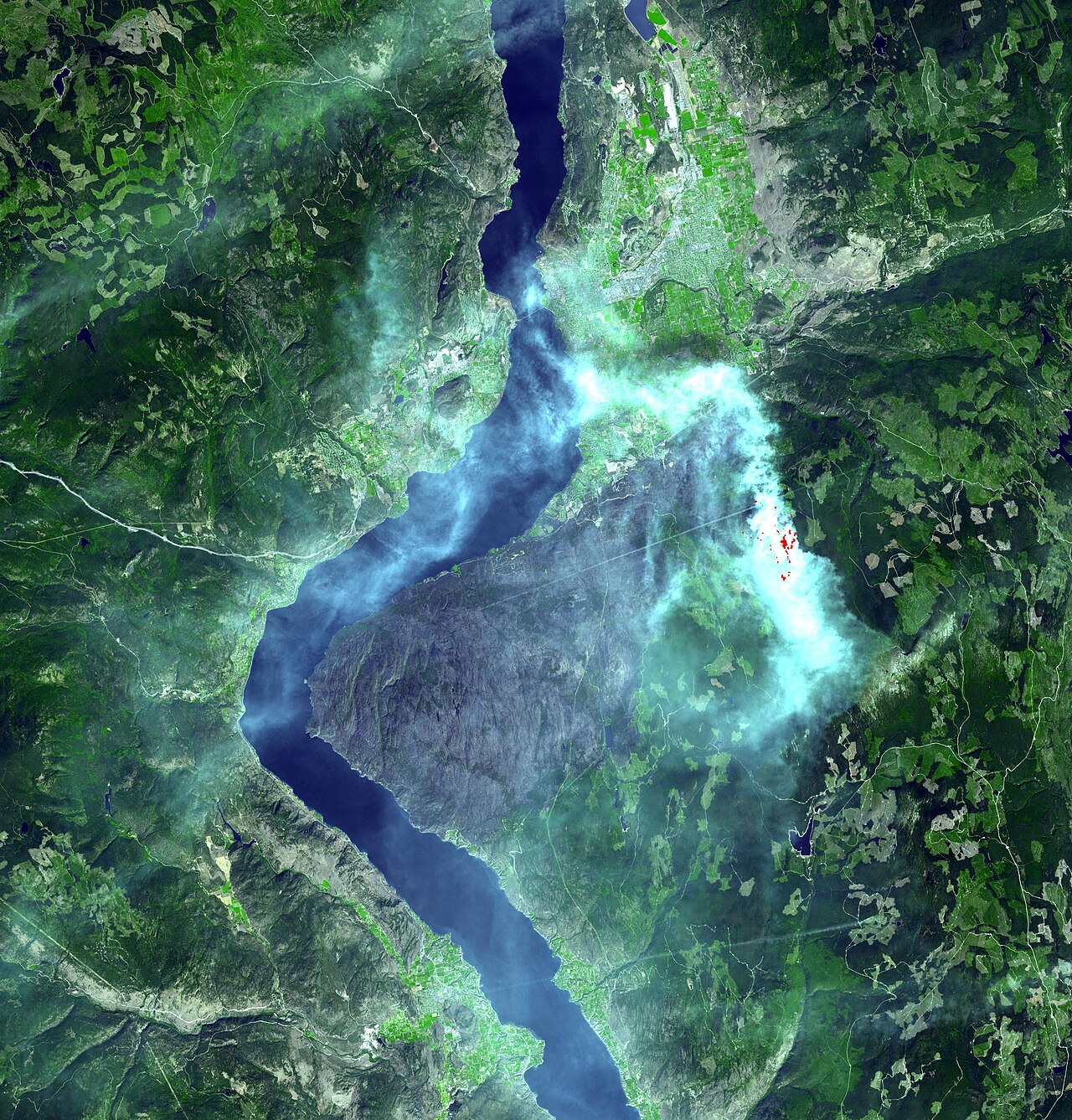Kanada Okanagan'da Orman Yangınları Evleri Tehdit Ediyor