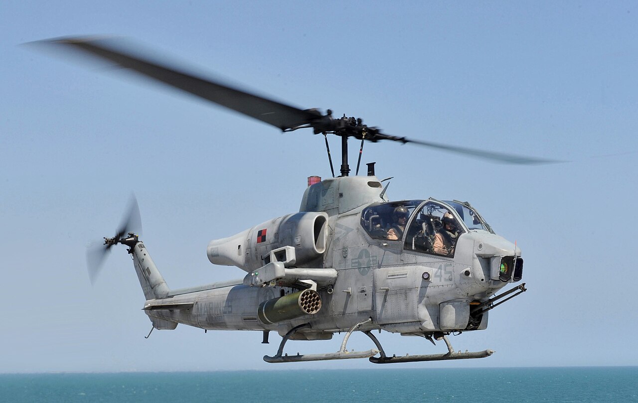 Kanada'da Yaban Arısı Saldırısı: Tırmanıcı Helikopterle Kurtarıldı