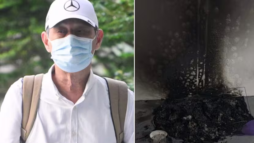 Kediler için karton evleri yakan adama hapis