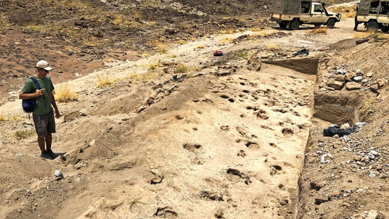 Kenya'daki ayak izleri insanın akrabası Paranthropus'a ışık tuttu