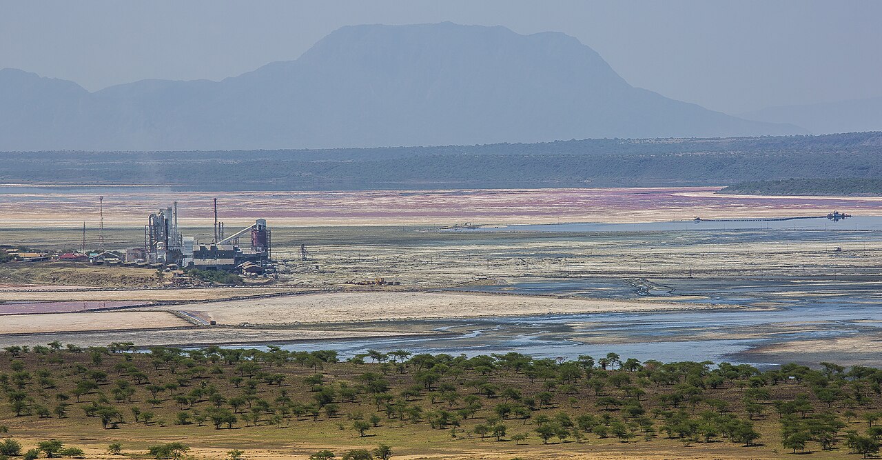 Kenya, Magadi'de Tata Chemicals'e karşı neden dönüyor