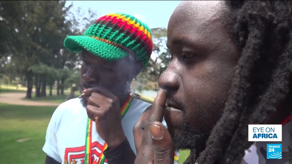 Kenya'da Rastafari Topluluğu Esrar Kullanımını Yasallaştırma Davasını Kaybetti