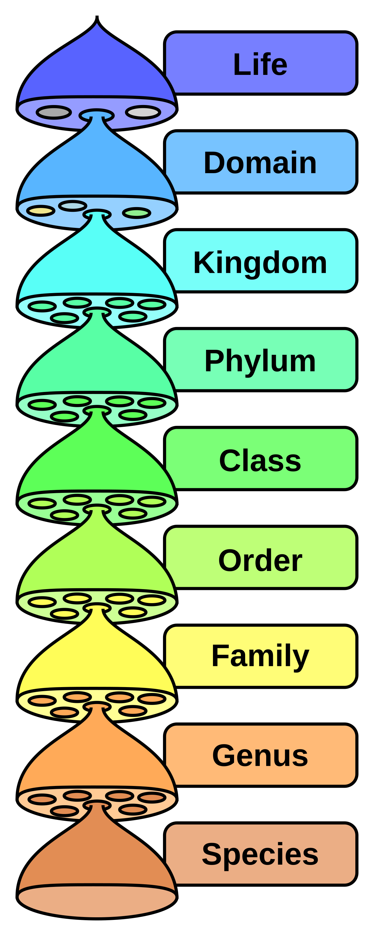 Keşfedilmemiş 20 Milyon Böcek Türü Olabilir