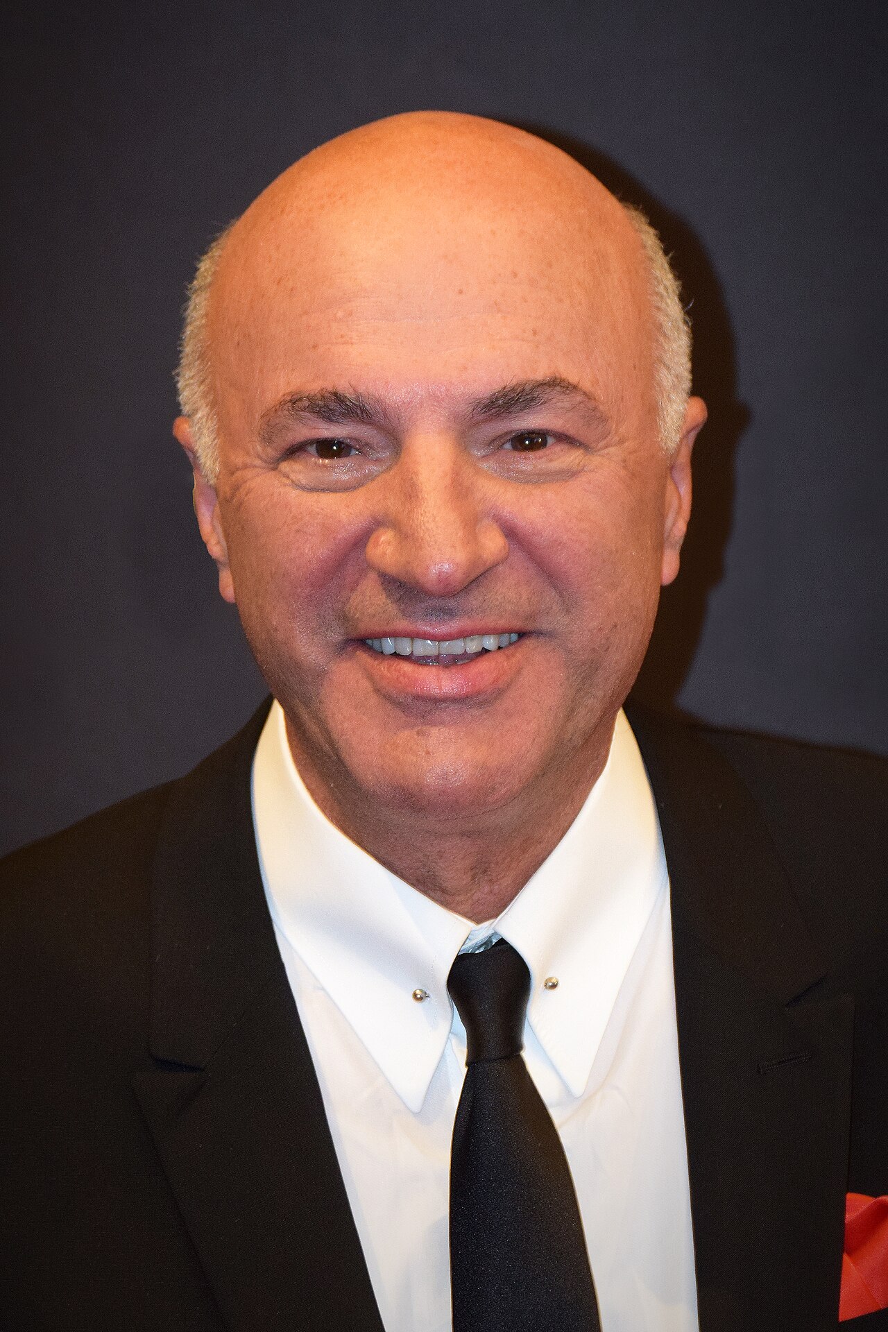 Kevin O'Leary'nin dev veri merkezi Utah'ta küçüldü
