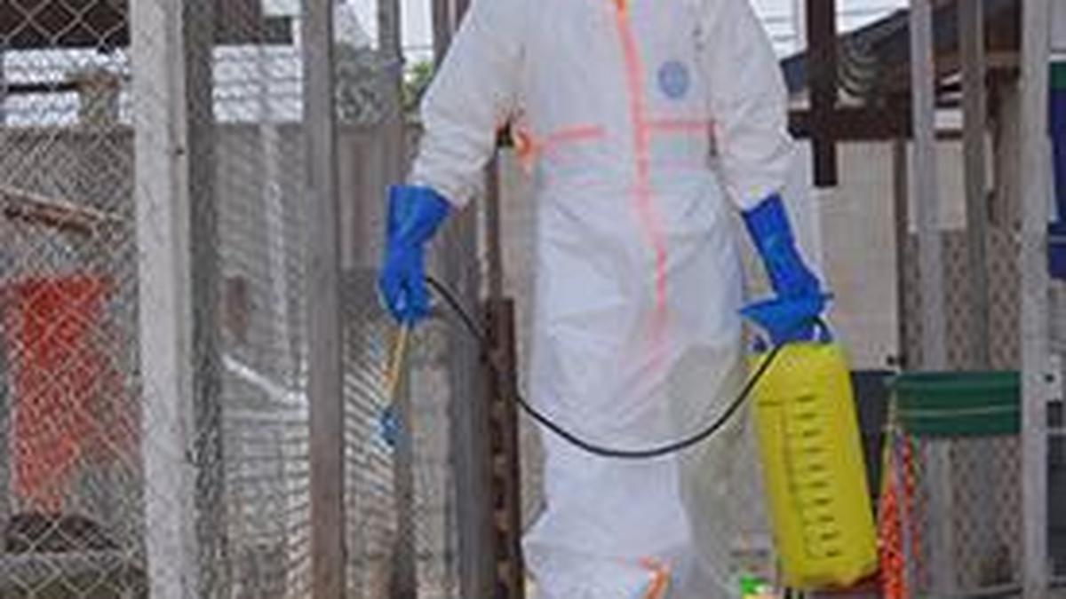 Kongo'daki Ebola salgını ülke tarihinin en ölümcülü: 2.300'den fazla can kaybı