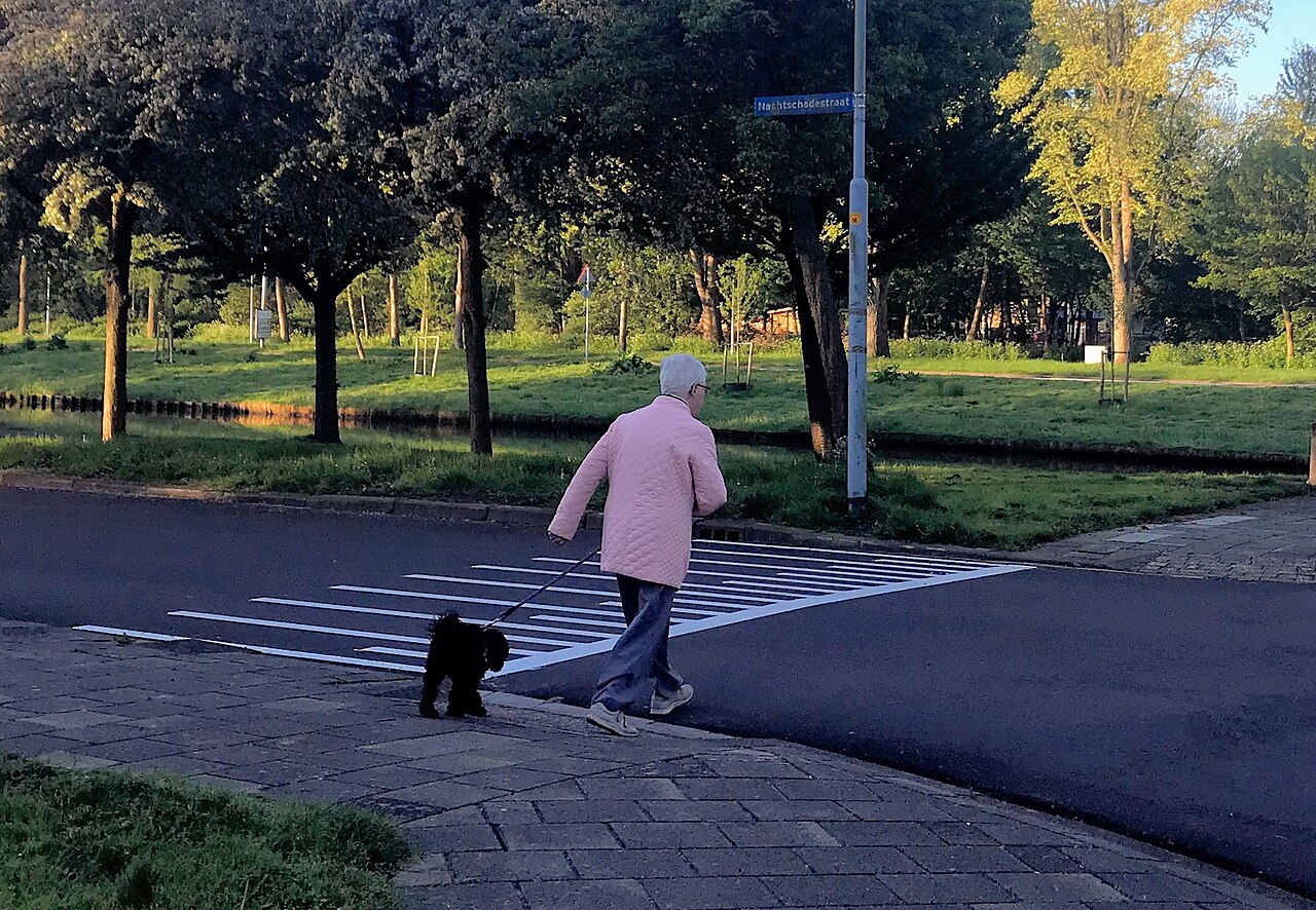 Köpeğiniz Gündüz Bakımında Stresli mi? İşte İşaretler