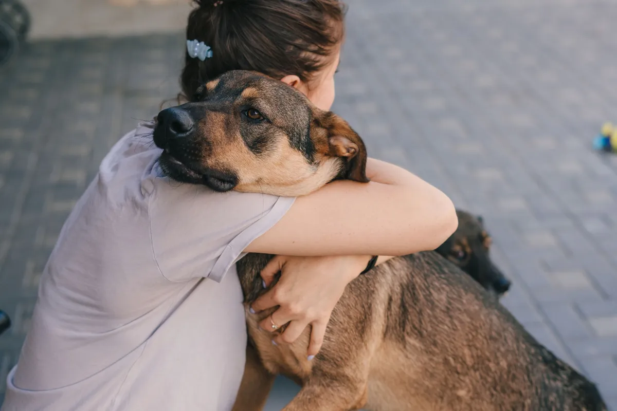 Köpeğinizi Kucaklamak Sanıldığı Kadar Masum Olmayabilir
