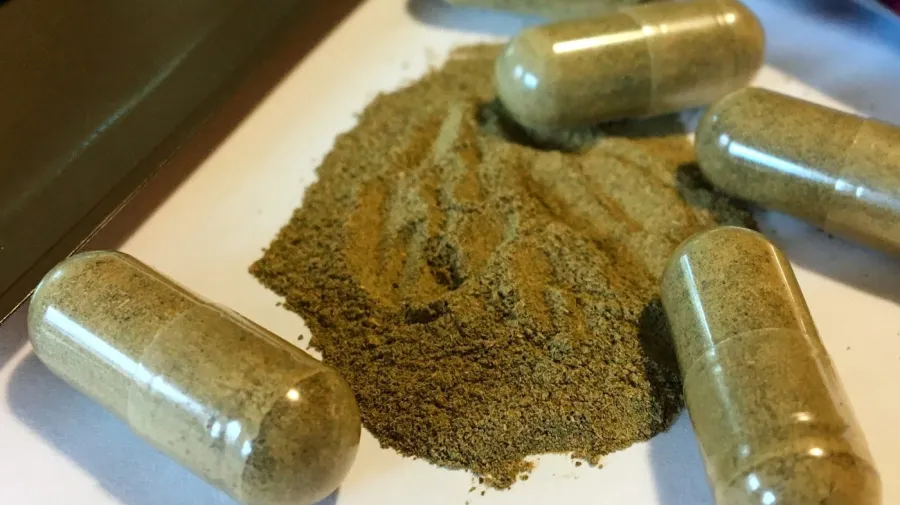 Kratom Nedir? Yasakçılardan Federal İnceleme Talebi