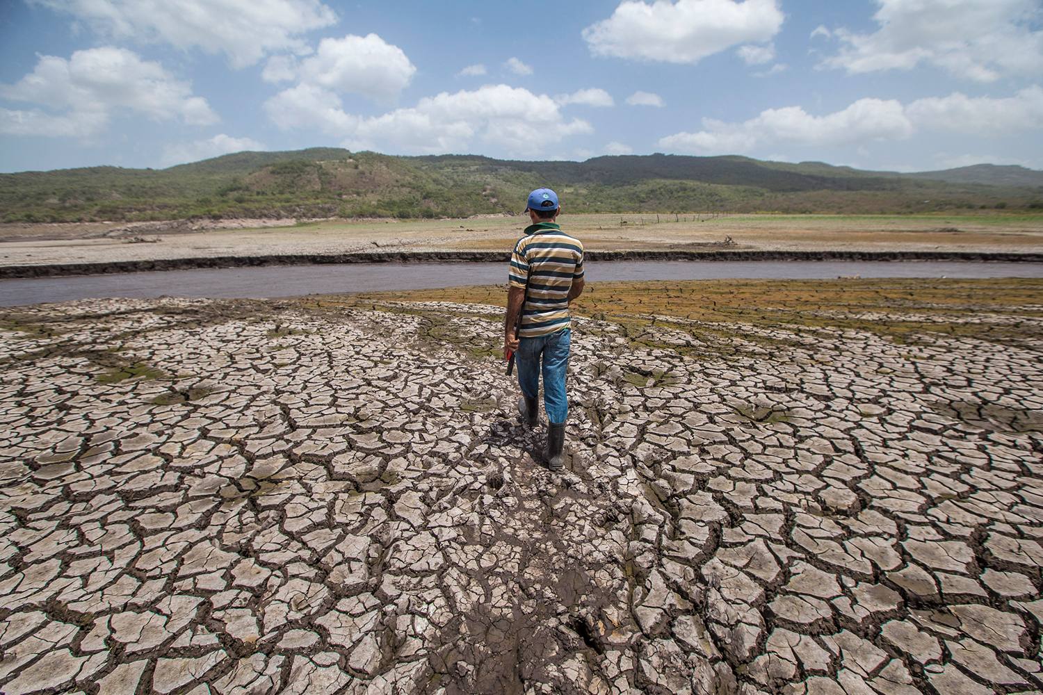 Küresel Tarım El Niño Tehdidi Altında: Gıda ve Enerji Krizine Yeni Darbe