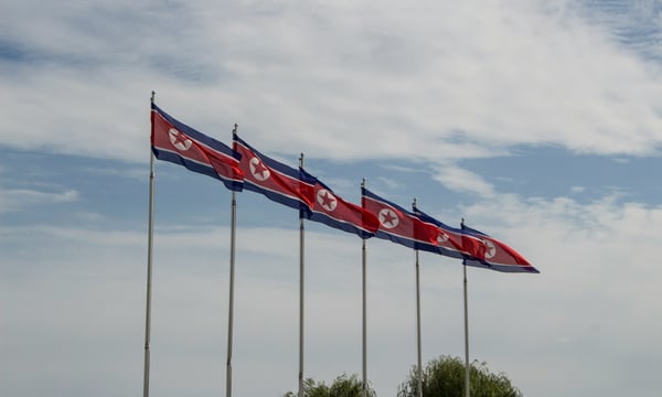 Kuzey Kore'nin Karanlık Yıllarında Saklı Kıtlık