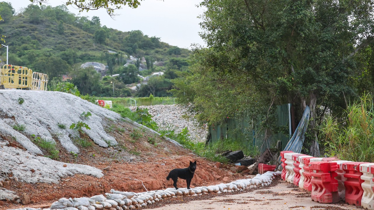 Kuzey Metropol Projesi: Hayvanların Gözü Arkada Kaldı